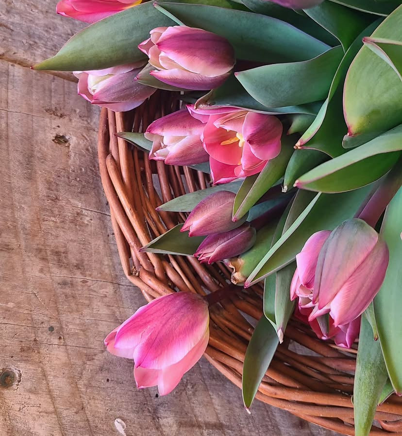 Red Barn Blooms + Fresh Tulip Bouquet